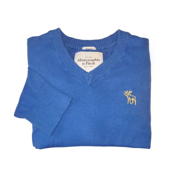 Abercrombie & Fitch Cashmere Blend V Neck Sweater - Picture 1 of 7
